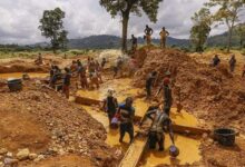 Miners working at a gold extraction site in Cameroon as the government introduces stricter controls on gold production and taxation.