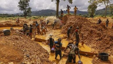 Miners working at a gold extraction site in Cameroon as the government introduces stricter controls on gold production and taxation.