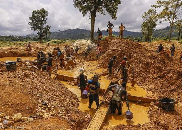 Miners working at a gold extraction site in Cameroon as the government introduces stricter controls on gold production and taxation.